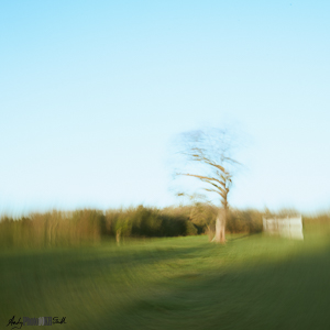 Tree and barn with intentional radial camera movement twist