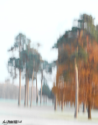 17th Fairway at Stoke Park golf club shot with intentional camera movement early on a cold morning