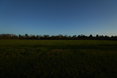 Looking East 3pm 16mm