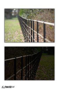 Two images of a black iron fence and field