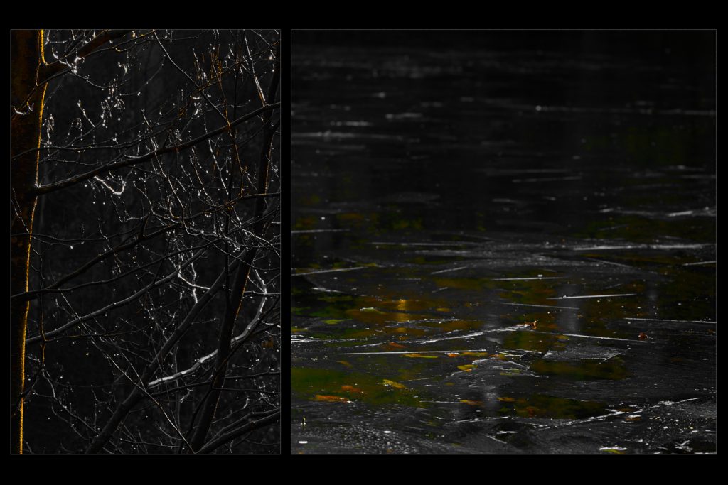Nearly completely black trees and frozen pond shot contre jour