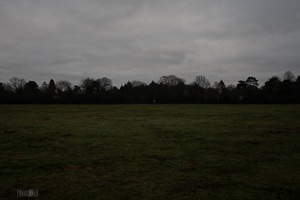 Looking East 9am 35mm