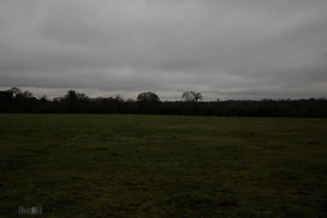 Looking West 12 noon 35mm