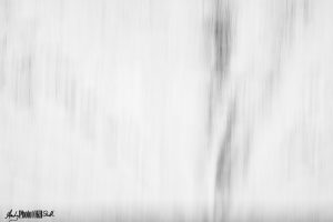 B&W ICM almost completely white