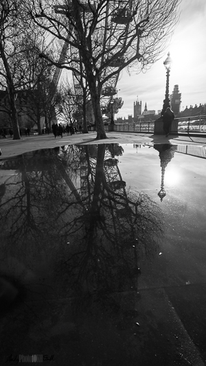 B&W contre jour of London's south bank with London eye, street lamp and Westminster palace reflected in a large puddle