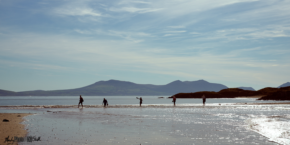 Silhouettes of 5 people wading through sea water