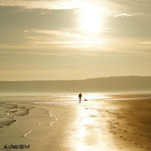 Silhouette of man and dog at seashore