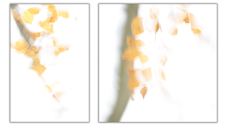 ICM Diptych 10,000 hours learning fine art photography