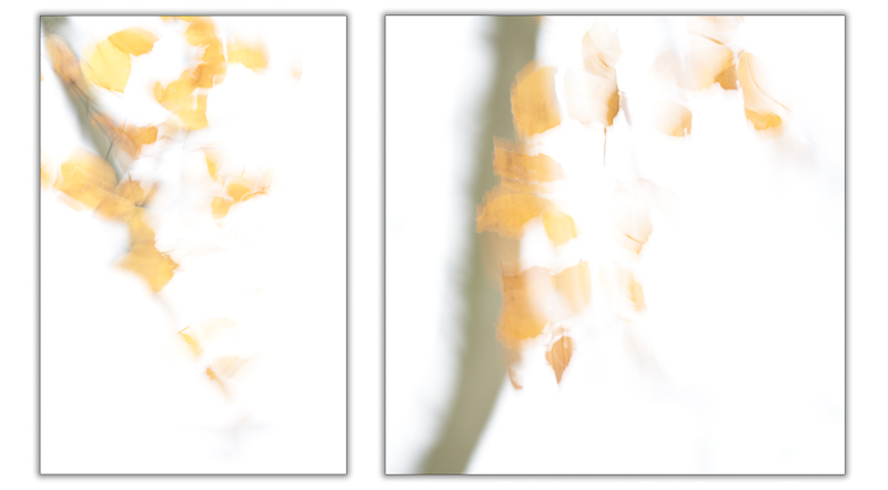 ICM Diptych