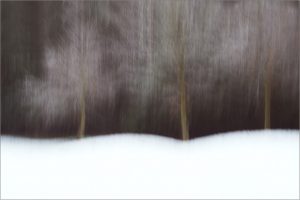 Impressionistic view of trees in snow created with ICM