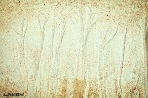 Pattern in the sand looks like trees