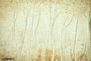 Pattern in the sand looks like trees