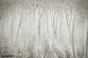 First in a triptych of desaturated sand patterns that look like trees