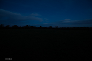 Looking West 6am 16mm