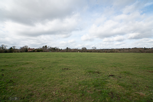 Looking West 12 noon 16mm