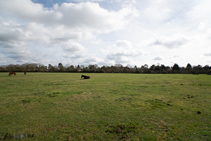 Looking East 12 noon 16mm