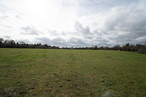 Looking South 12 noon 16mm