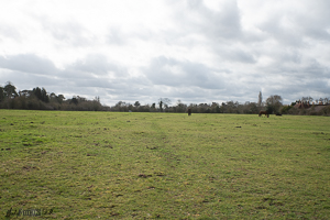 Looking South 12 noon 35mm