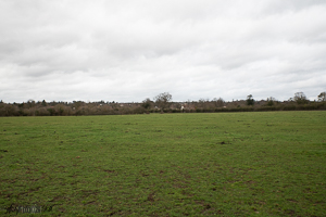 Looking North 3pm 35mm