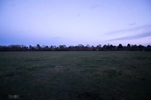 Looking East 6pm 16mm