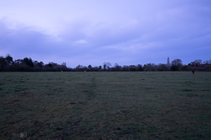 Looking South 6am 35mm