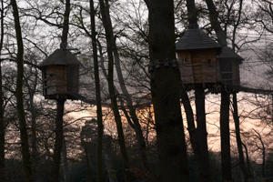 Tree house against pink sky