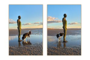 Collie dog meeting sculpture of at Another Place