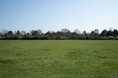 1pm Looking North 16mm