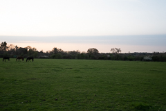 7am Looking South 16mm