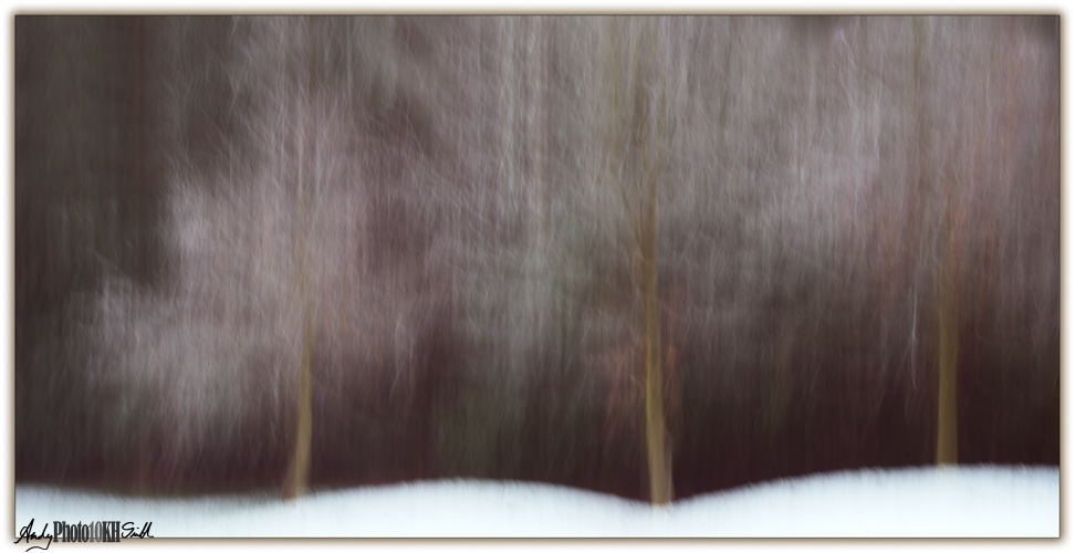 Impressionist image of trees in winter - Ten thousand hours deliberate practice learning the Art of Photography