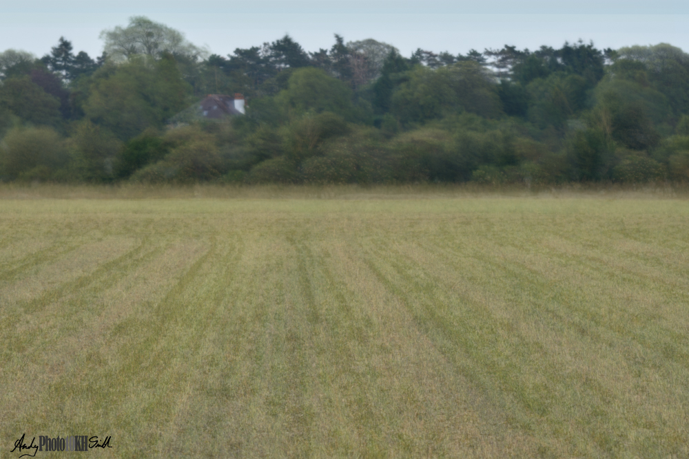 Field in South Buckinghamshire