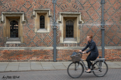 Three windows in the college wall being passed by a woman on bicycle