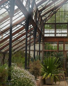 Inside the hothouse