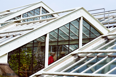 Striking architecture of the botanical gardens