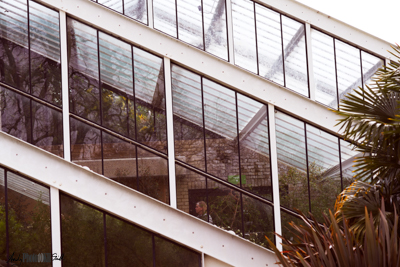 Woman inside the hothouse Kew Gardens