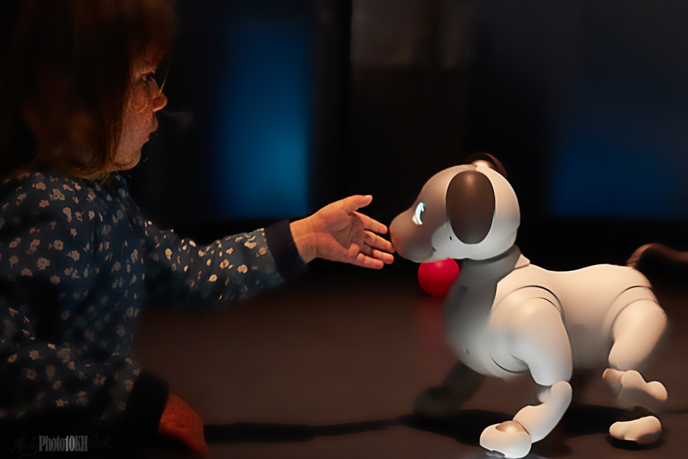 Girl touches robot dog