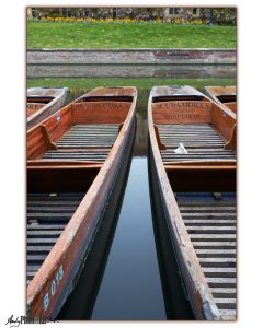 Symmetrical image of punts on the Cam