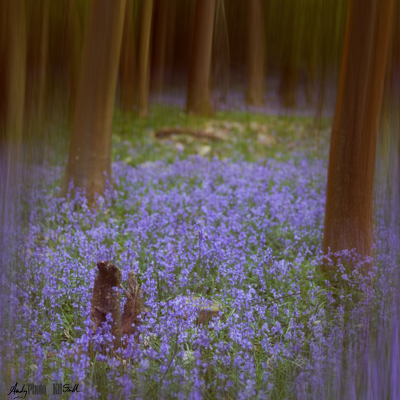 Composite image with intentional camera movement