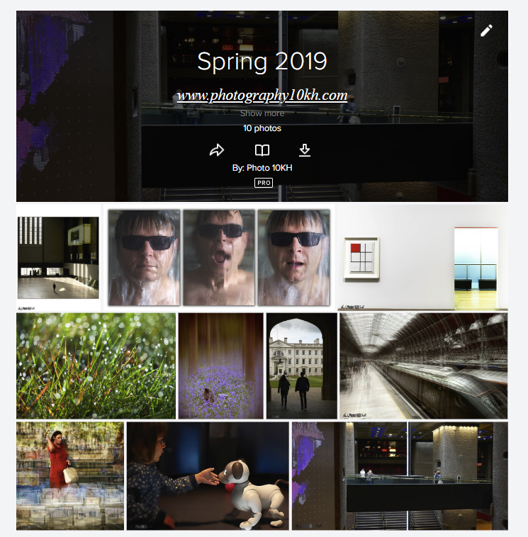 Screenshot of top images from Spring 2019 ten thousand hours learning the art of photography