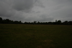 35mm South 12 noon 10 June 2019