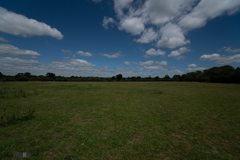 16mm North 12 Noon