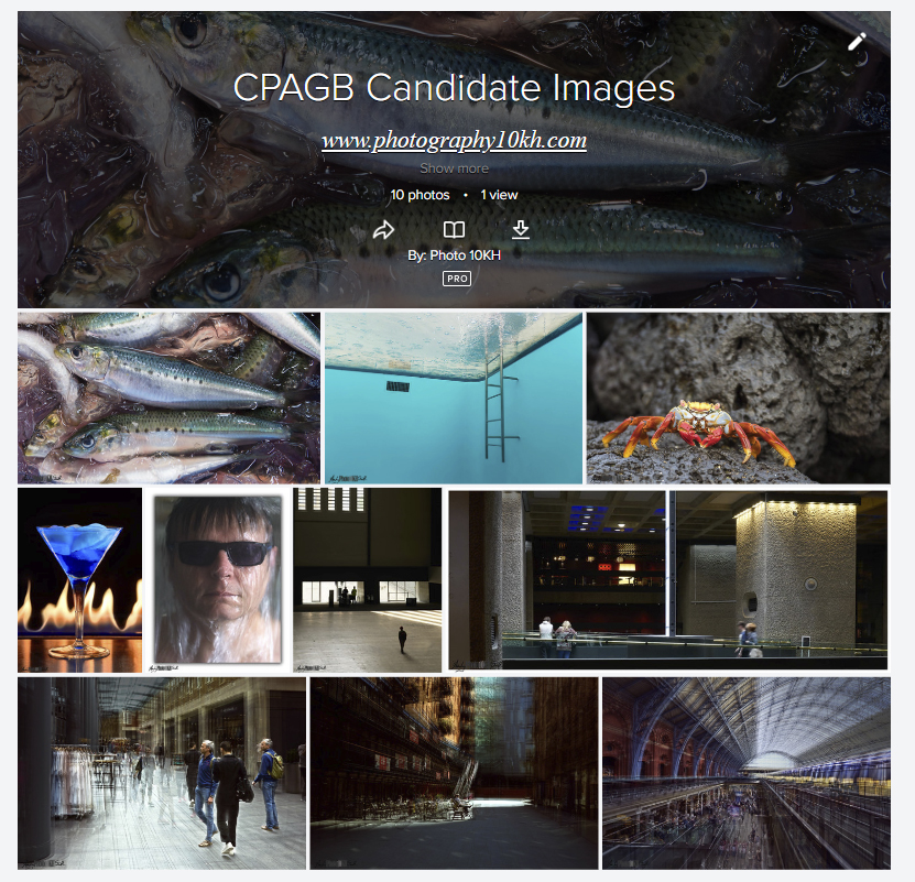 10 Candidate images for submission for CPAGB Assessment