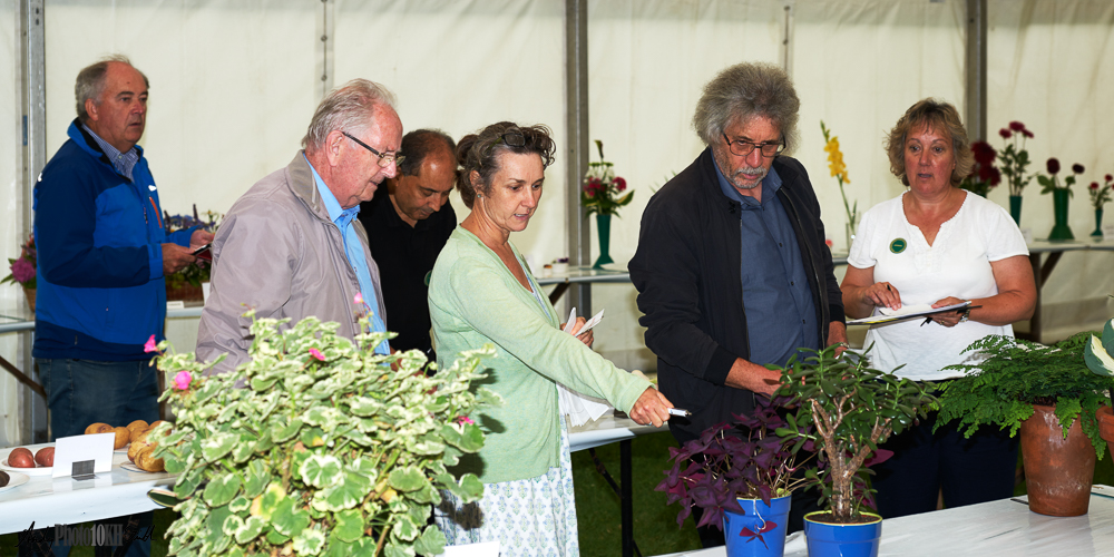 Judges assessing the year's entries