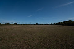 16mm 10am North
