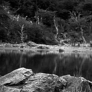 Rocks. lake and trees