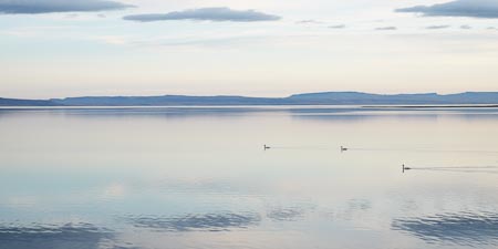 High-key calm landscape over the lake