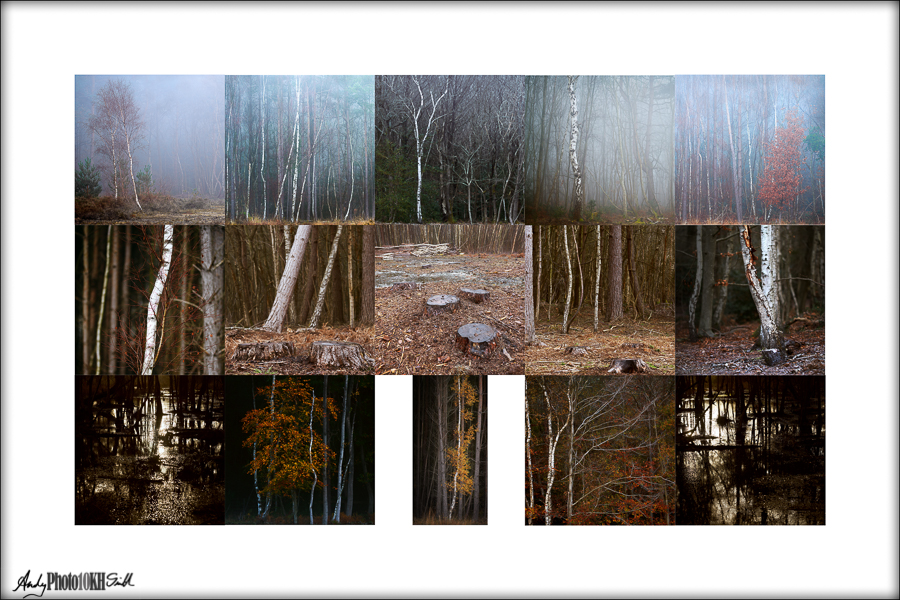 Draft RPS Associateship panel in Landscape Photography images squished to compare hue, colour and tone