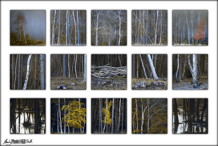 Draft RPS Associateship panel in Landscape Photography LAB color