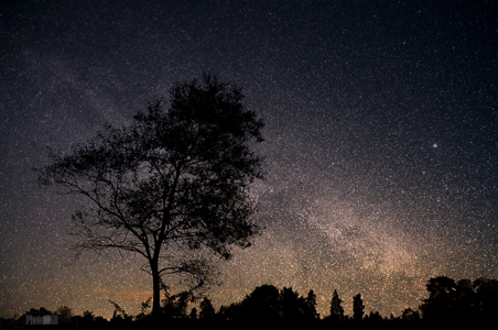 Milky Way image with a foreground shot in Langley Park