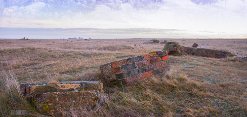 Creative Dungeness studying art photography through 10,000 hours deliberate practice